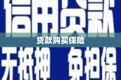商南贷款购买保险