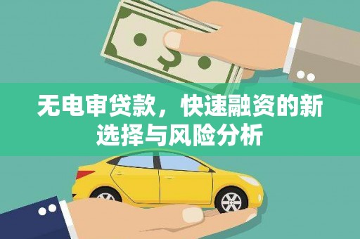 商南无电审贷款，快速融资的新选择与风险分析