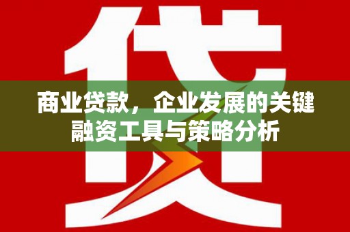 商南商业贷款，企业发展的关键融资工具与策略分析