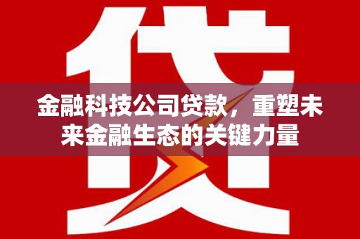 商南金融科技公司贷款，重塑未来金融生态的关键力量