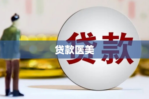 商南贷款医美