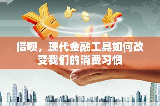 商南借呗，现代金融工具如何改变我们的消费习惯