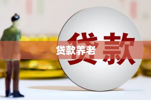 商南贷款养老