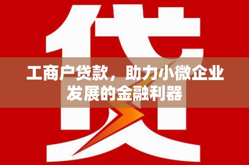 商南工商户贷款，助力小微企业发展的金融利器