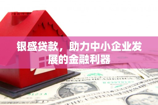 商南银盛贷款，助力中小企业发展的金融利器