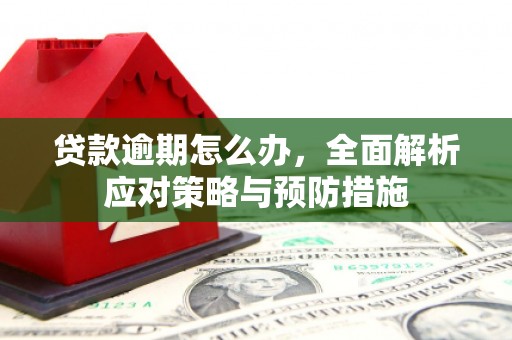 商南贷款逾期怎么办，全面解析应对策略与预防措施