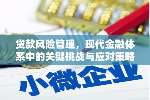 商南贷款风险管理，现代金融体系中的关键挑战与应对策略