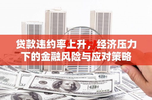商南贷款违约率上升，经济压力下的金融风险与应对策略