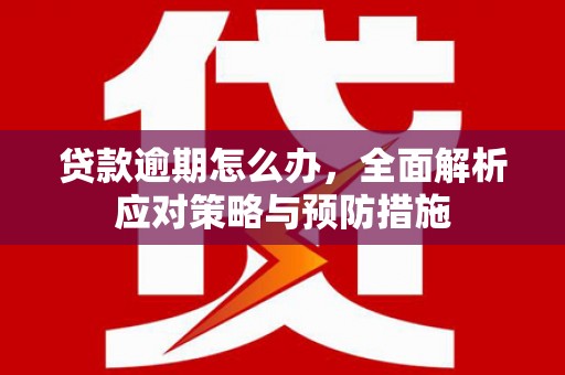 商南贷款逾期怎么办，全面解析应对策略与预防措施