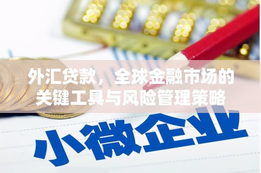 商南外汇贷款，全球金融市场的关键工具与风险管理策略