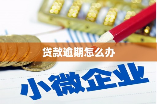 商南贷款逾期怎么办