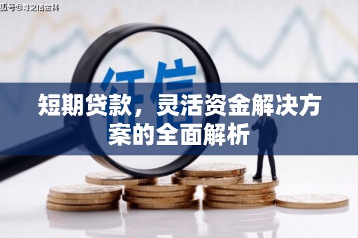 商南短期贷款，灵活资金解决方案的全面解析