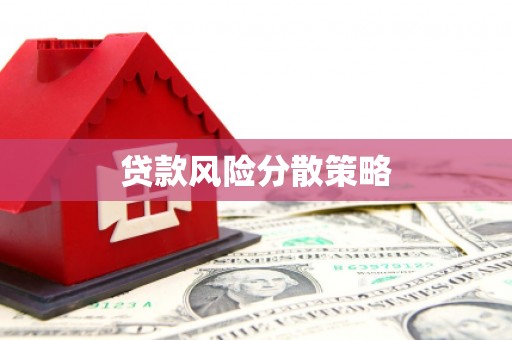 商南贷款风险分散策略