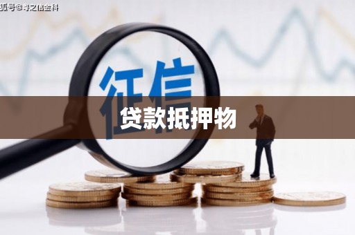 商南贷款抵押物