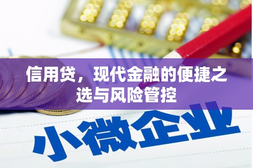 商南信用贷，现代金融的便捷之选与风险管控