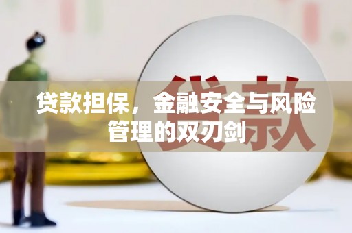 商南贷款担保，金融安全与风险管理的双刃剑