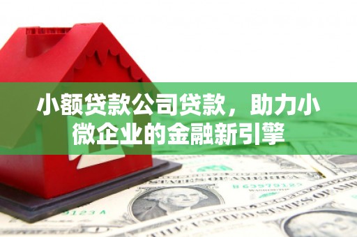 商南小额贷款公司贷款，助力小微企业的金融新引擎