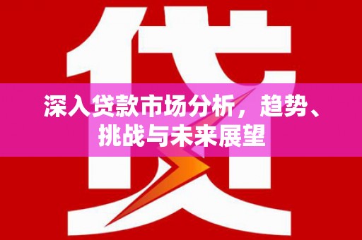 商南深入贷款市场分析，趋势、挑战与未来展望