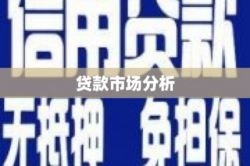 商南贷款市场分析