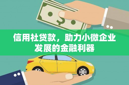 商南信用社贷款，助力小微企业发展的金融利器