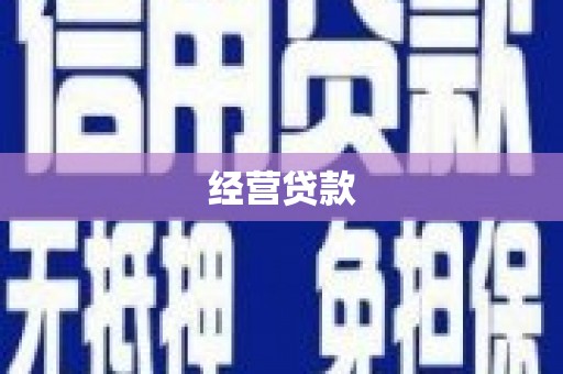 商南经营贷款
