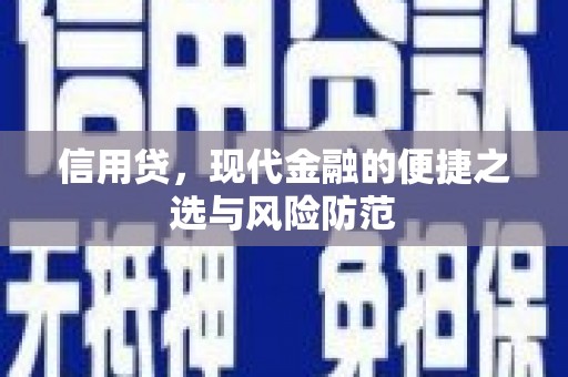 商南信用贷，现代金融的便捷之选与风险防范