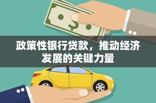 商南政策性银行贷款，推动经济发展的关键力量