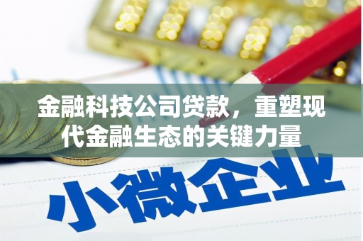 商南金融科技公司贷款，重塑现代金融生态的关键力量