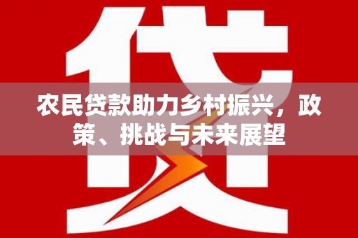 商南农民贷款助力乡村振兴，政策、挑战与未来展望
