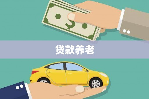商南贷款养老