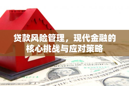 商南贷款风险管理，现代金融的核心挑战与应对策略