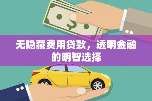 商南无隐藏费用贷款，透明金融的明智选择