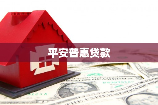 商南平安普惠贷款
