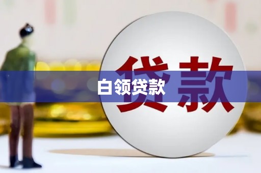 商南白领贷款