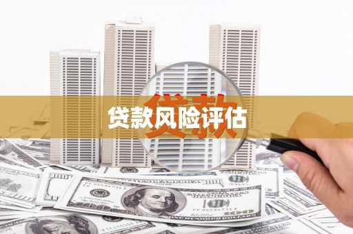 商南贷款风险评估