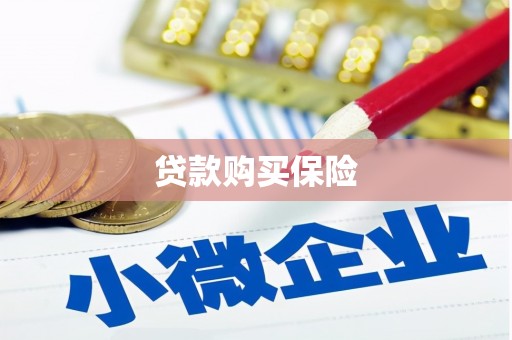商南贷款购买保险