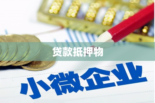商南贷款抵押物