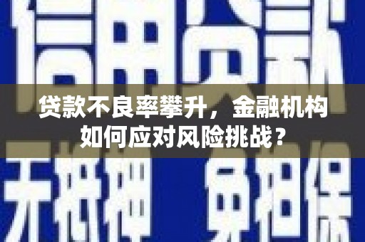 商南贷款不良率攀升，金融机构如何应对风险挑战？