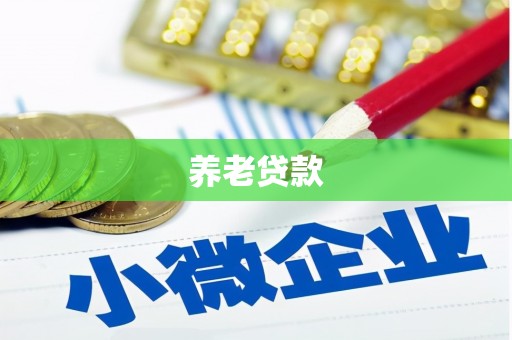 商南养老贷款
