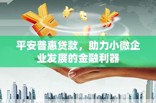 商南平安普惠贷款，助力小微企业发展的金融利器