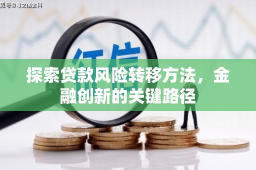 商南探索贷款风险转移方法，金融创新的关键路径