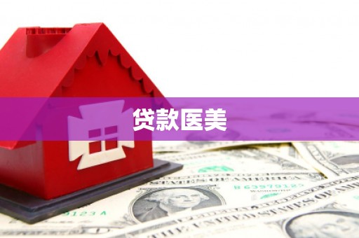 商南贷款医美