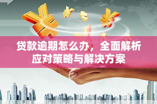 商南贷款逾期怎么办，全面解析应对策略与解决方案
